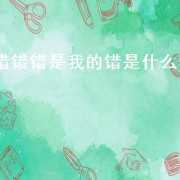 错错错是我的错是什么歌