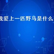 我爱上一匹野马是什么歌（爱上一匹野马但家里没草原什么歌）