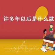 许多年以后是什么歌