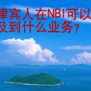 菲律宾人在NBI可以涉及到什么业务？