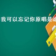 我可以忘记你原唱是谁