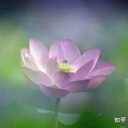 三生三世的歌曲在佛学中的溯源