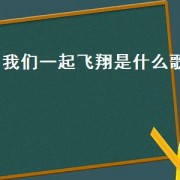 我们一起飞翔是什么歌(我们一起飞翔是什么歌)