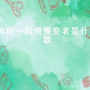和你一起慢慢变老是什么歌