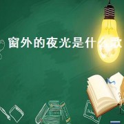 窗外的夜光是什么歌（窗外的夜光阅读答案）