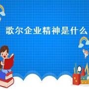 歌尔企业精神是什么（歌尔经营理念是什么）