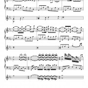 这个年纪的歌词简谱