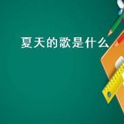 夏天的歌是什么