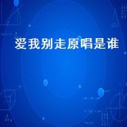 爱我别走原唱是谁