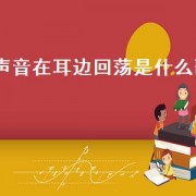 声音在耳边回荡是什么歌（声音在耳边回荡）