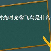 时光时光像飞鸟是什么歌（时光像水一样是什么歌）