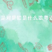 是对是错是什么歌粤语（是对是错也好不必说了粤语怎么说）