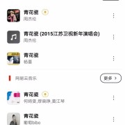 除了网易云和QQ音乐，你还该拥有不一样的音乐软件！