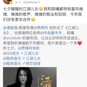 如何评价谭维维唱的电影《江湖儿女》同名主题曲？