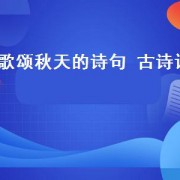 歌颂秋天的诗句 古诗词（歌颂秋天荷花的诗句古诗词）