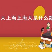 大上海上海大是什么歌（大上海歌曲夜上海）
