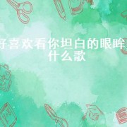 好喜欢看你坦白的眼眸是什么歌