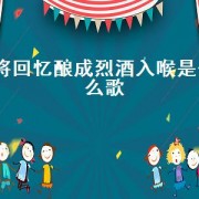 将回忆酿成烈酒入喉是什么歌