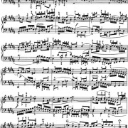 可以不爱了歌词和简谱