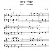 幸福猎人的歌词简谱