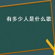 有多少人是什么歌