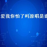 爱我你怕了吗原唱是谁（爱我你怕了吗原唱版）