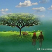 欢快的纯音乐，十首纯音乐推荐！
