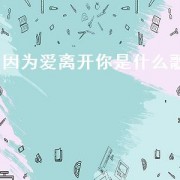 因为爱离开你是什么歌