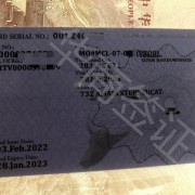 专业办理菲律宾结婚签证(结婚签证办理细节)-华商签证介绍