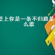 爱上你是一条不归路是什么歌（爱上你是我的选择是什么歌）