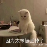 《原神》音乐再度更新，你最喜欢其中哪一首，你和这首音乐又有着怎样的故事？