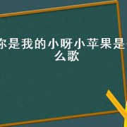 你是我的小呀小苹果是什么歌