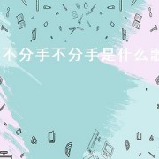不分手不分手是什么歌（说好的不分手也不联系是什么歌）