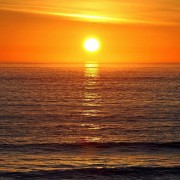 珍惜的诗句大全