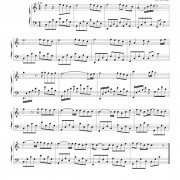 羞答答的玫瑰静悄悄地开的歌词歌谱，羞答答的玫瑰静悄悄地开的简谱吉他谱