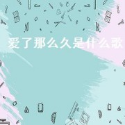 爱了那么久是什么歌