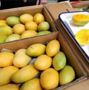 菲律宾长滩岛吃烤乳猪(长滩岛美食)