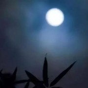 老婆生气时该用什么诗词