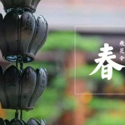 高中语文古诗词内容（高中语文古诗词有哪些）