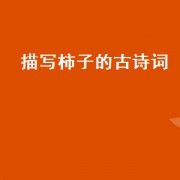 描写柿子的古诗词（描写柿子的诗句古诗有哪些）