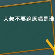 大叔不要跑原唱是谁（大叔不要跑谁唱的）