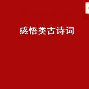 感悟类古诗词（季节古诗词感悟）