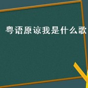 粤语原谅我是什么歌（粤语原谅我这一生）