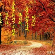 高考古诗词大全必背河南