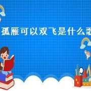 孤雁可以双飞是什么歌