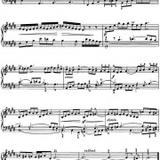 一生痛苦的歌词歌谱，一生痛苦的简谱吉他谱