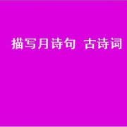 描写月诗句 古诗词