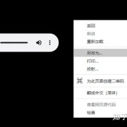 《音乐下载》下载网页中的mp3音乐，并上传至网yi云音乐我的云盘中，修改云盘音乐名称，添歌词