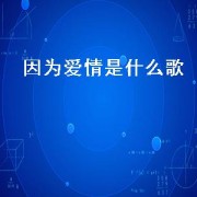 因为爱情是什么歌（因为爱情歌词）