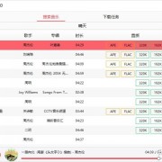 全网音乐免费下载工具，无损付费音乐统统拿下